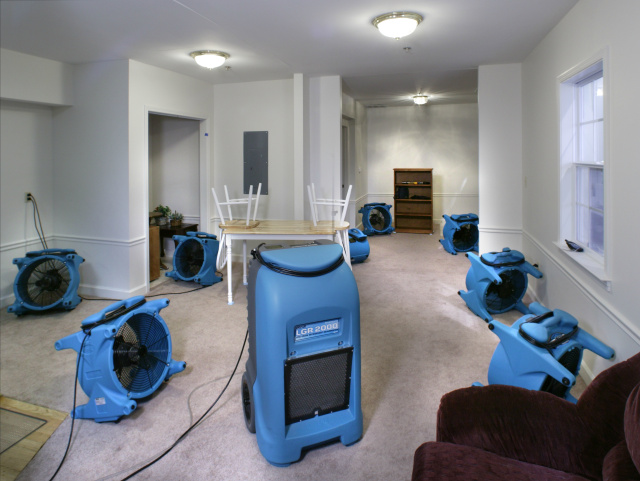 Air movers arranged around the interior of a home during drying.